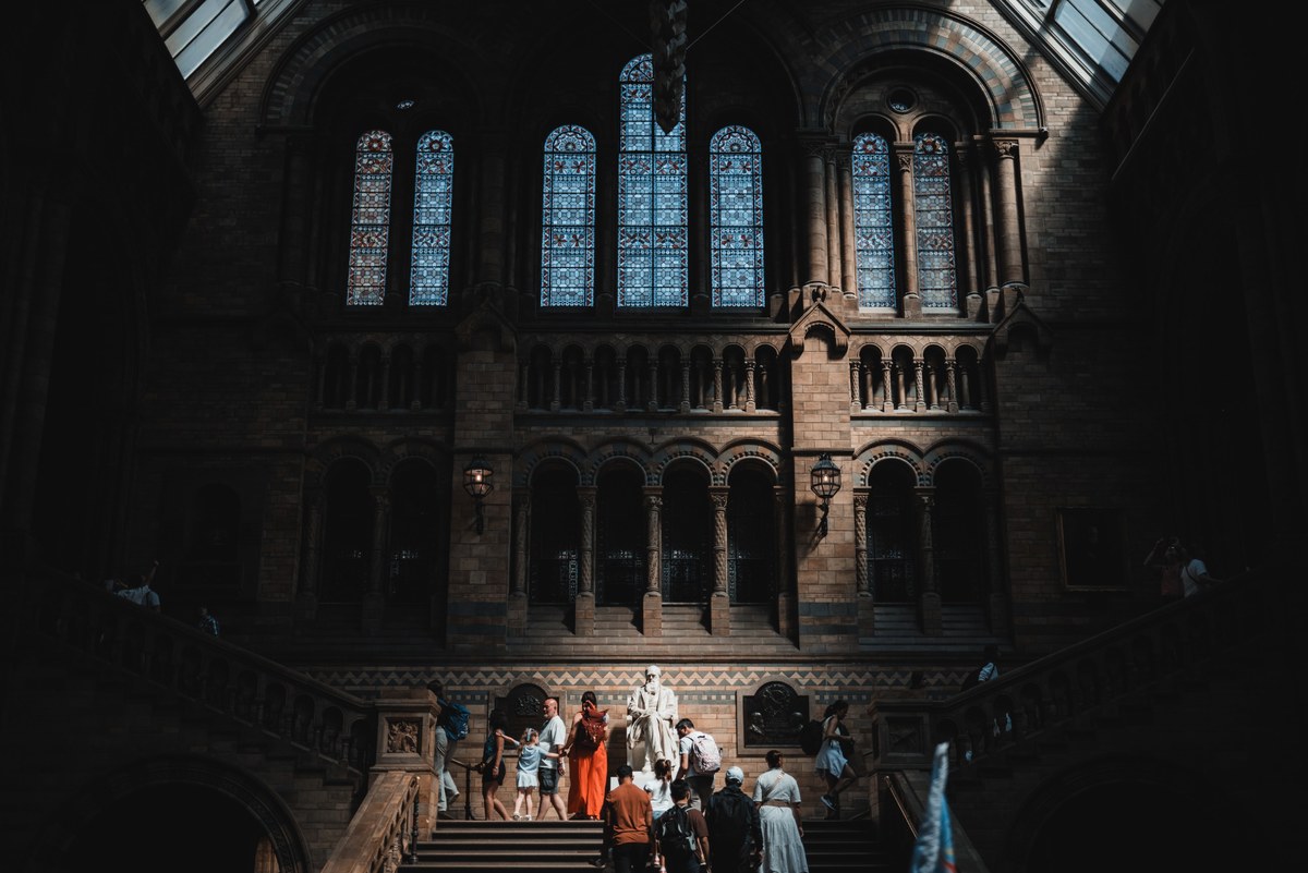 Een wit beeld van Charles Darwin in het zonlicht dat door het dak van het Natural History Museum binnenvalt.