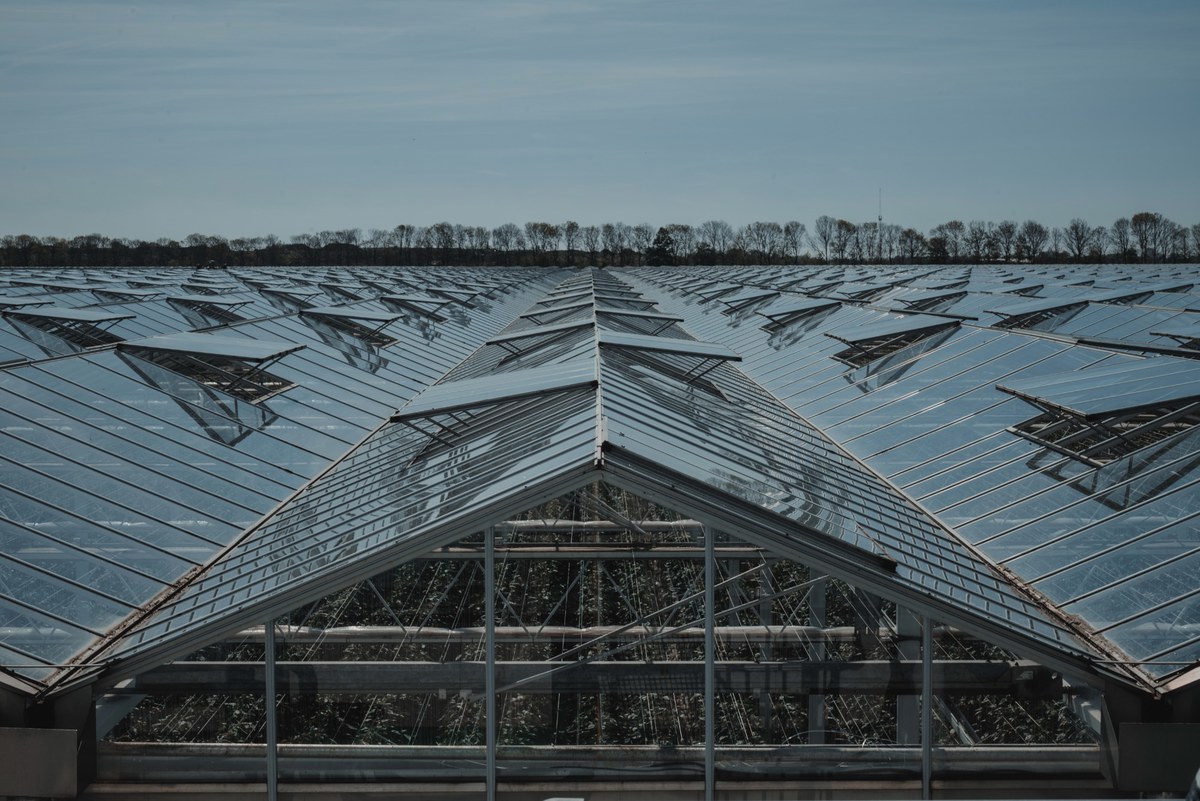 Uitgestrekt glazen kassencomplex met puntdaken die zich onder een lichtblauwe lucht tot aan een verre bomenrij aan de horizon uitstrekken.