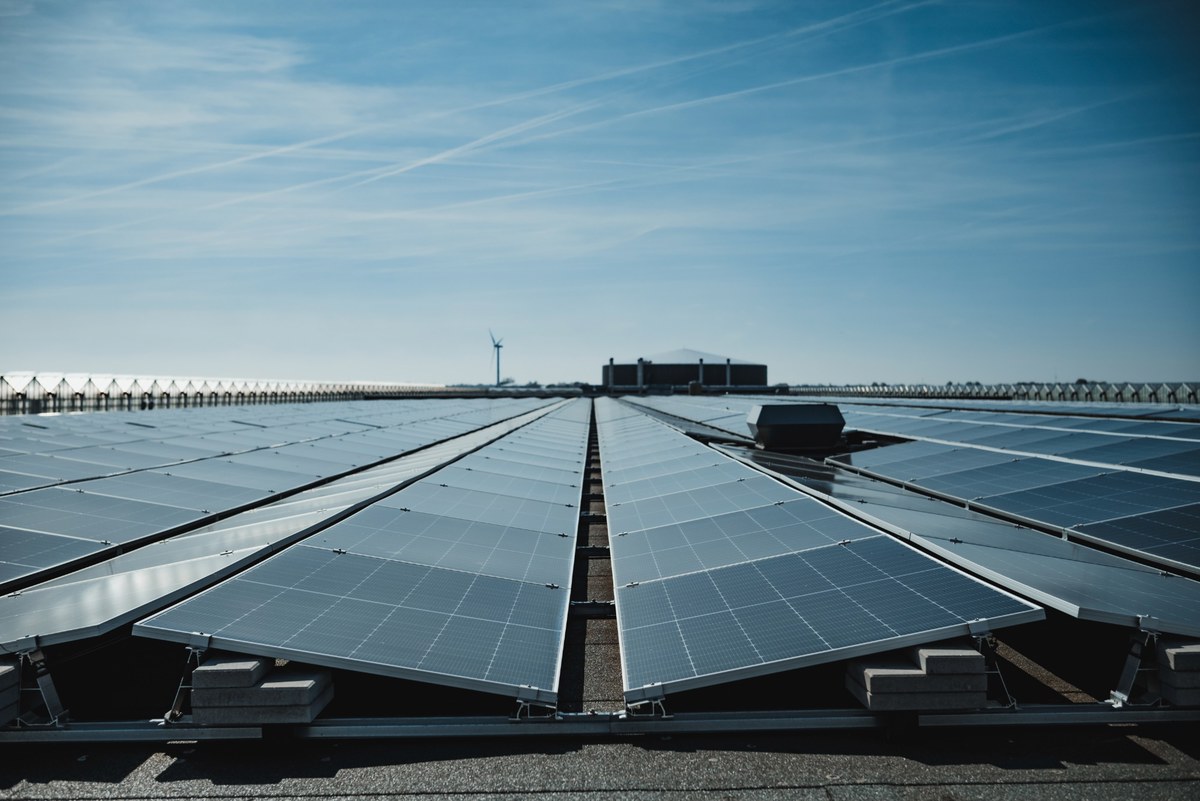 Rijen zonnepanelen strekken zich uit over een plat dak naar de horizon, met een windturbine en industriële gebouwen onder een strakblauwe lucht.