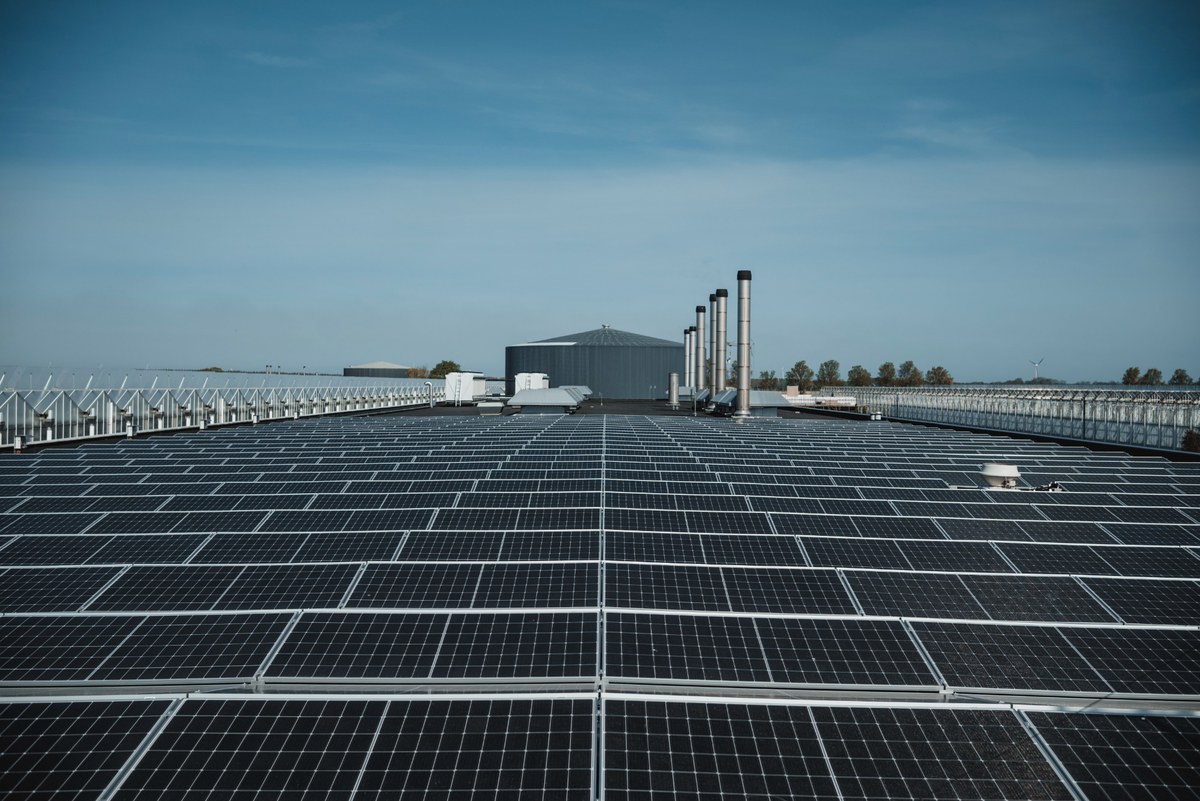 Een groot dak vol zonnepanelen strekt zich uit tot aan een grijze bedrijfshal met schoorstenen, onder een strakblauwe lucht.