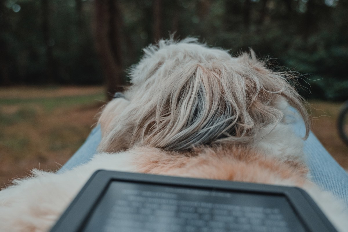 Een pluizige hond met lichtbruine vacht (Kip) ligt te rusten op mijn benen met een e-reader, tussen de bomen op een camping.