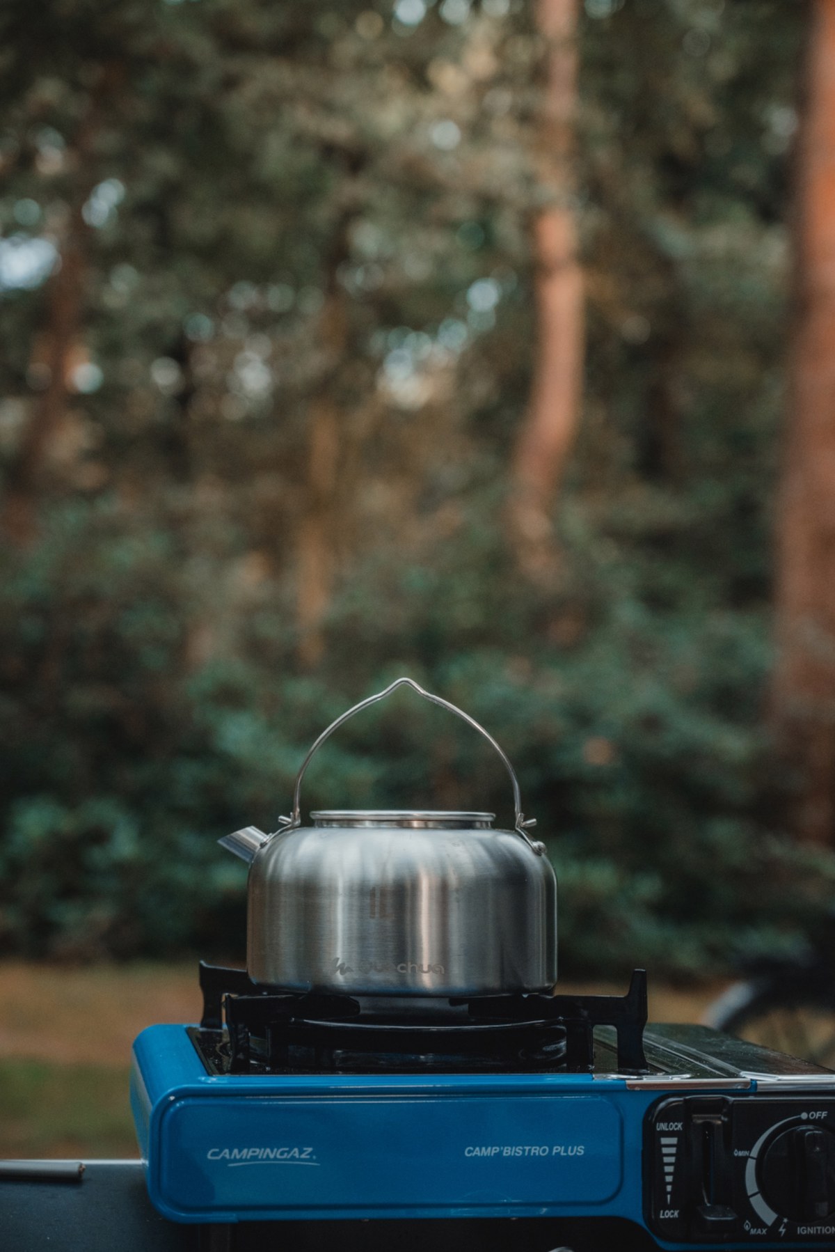 Een roestvrijstalen fluitketel staat op een blauw Campingaz-gasstel met een wazig bos van hoge dennenbomen op de achtergrond.