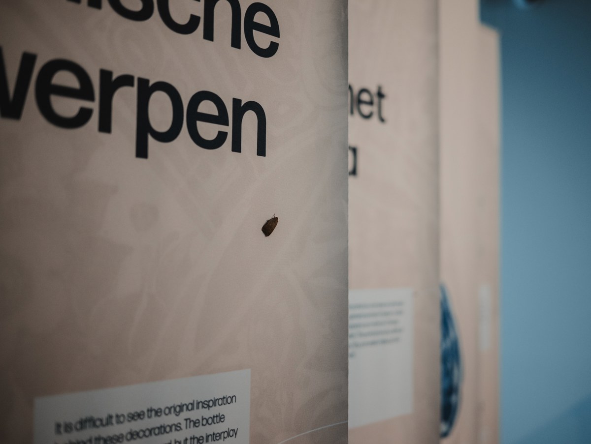 Een mot op een doek in het Royal Delft Museum