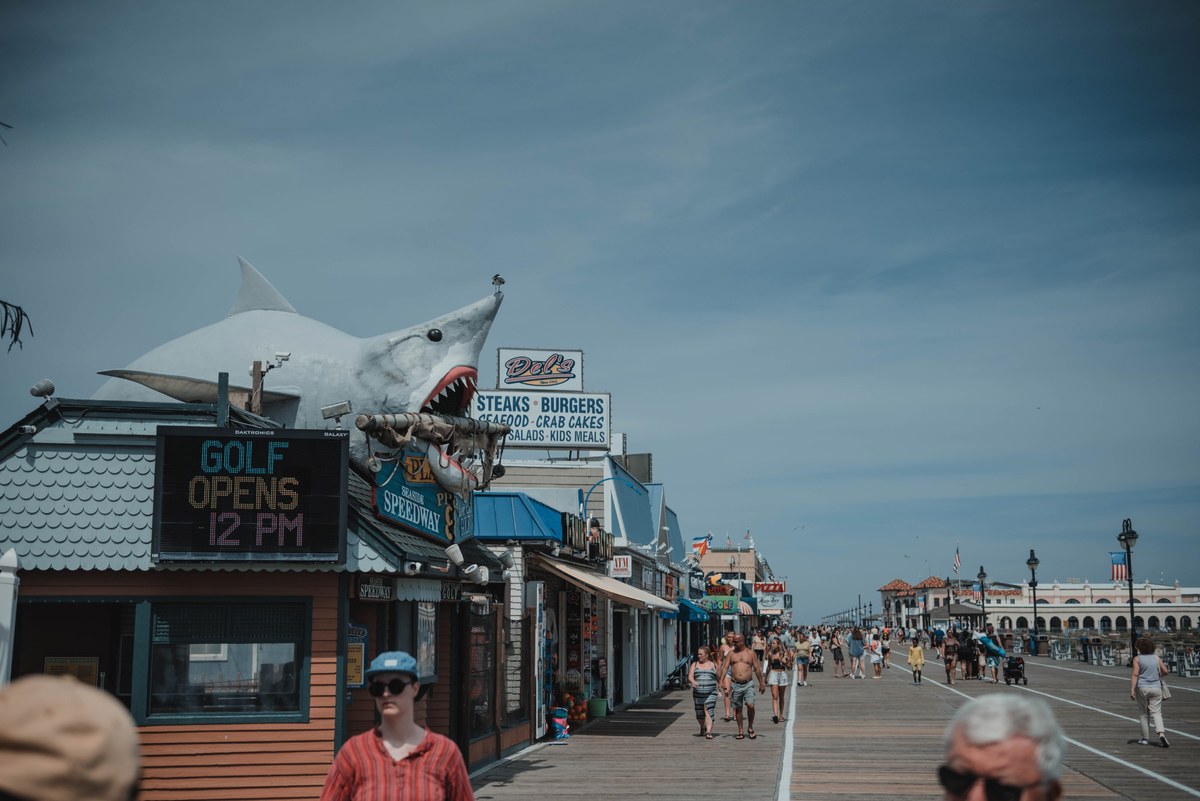 Een haai op een dak aan de Jersey Shore