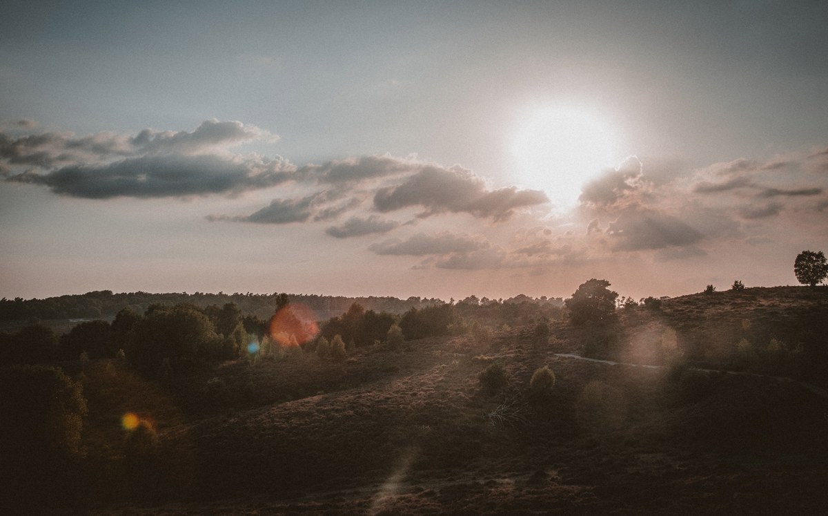 Zonlicht breekt door de wolken boven een glooiend heidelandschap met verspreide bomen en struiken, terwijl lensvlekken over de scène vallen.