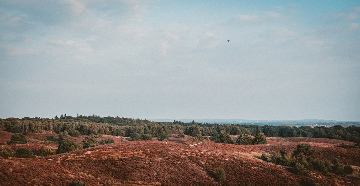 Glooiende heidevelden met roodbruine begroeiing lopen af naar een bosrand, terwijl in de wijde lucht een luchtballon boven de Veluwe zweeft.