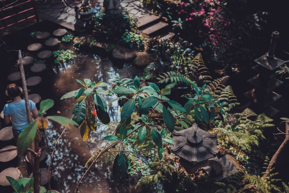 Exotische tuin