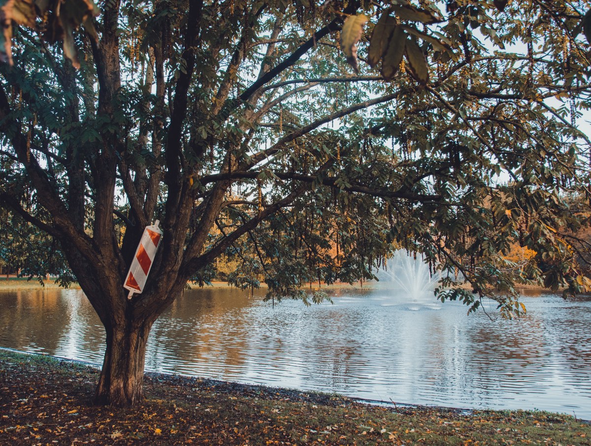 Aan een grote boom bij een vijver hangt een rood-wit gestreept bordje, terwijl op de achtergrond een fontein water opspuit tussen herfstige bomen.