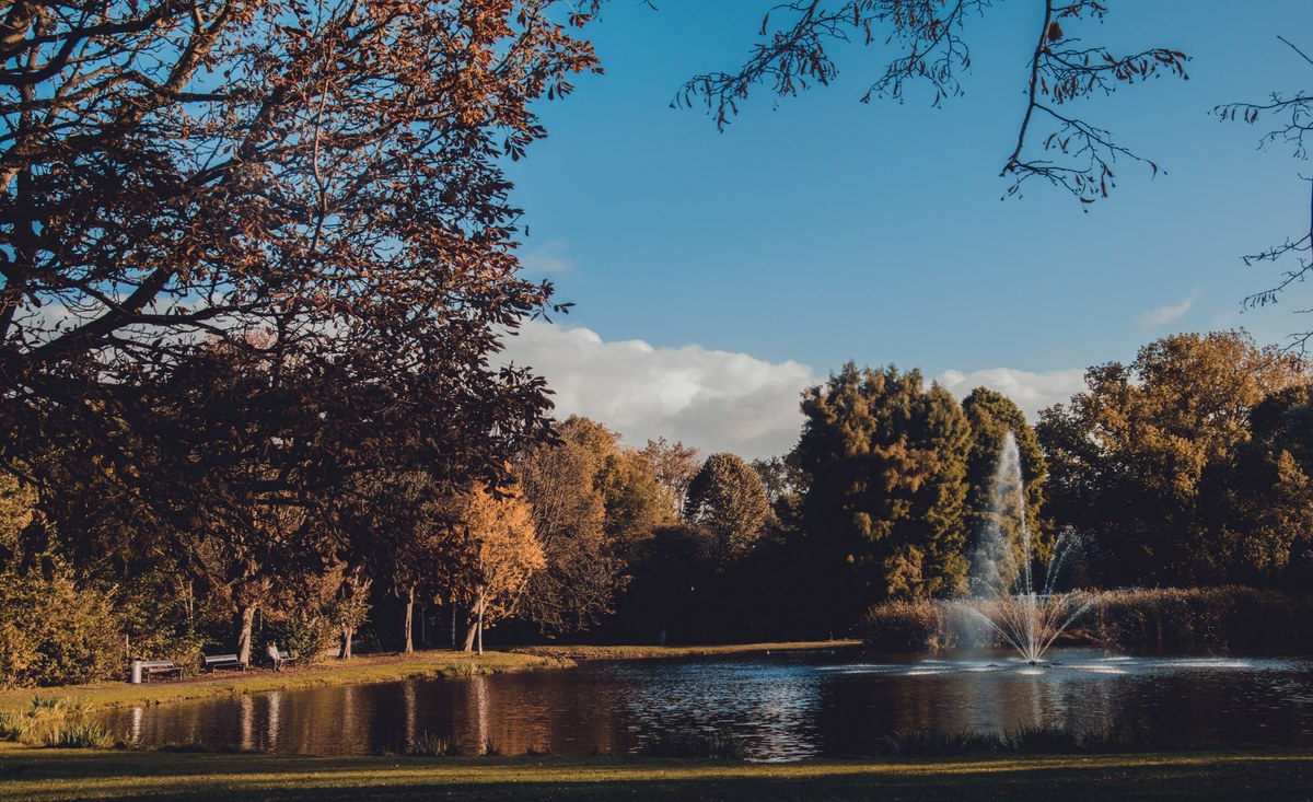 Herfstachtig parklandschap met een vijver waarin een fontein opspringt, omringd door bomen in herfstkleuren onder een blauwe lucht met wolken.