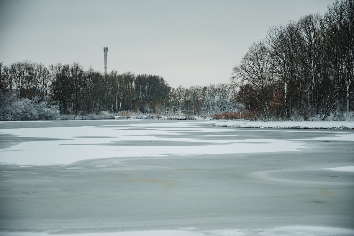 Besneeuwd meer in het Wilhelminapark, met op de achtergrond Rijswijk