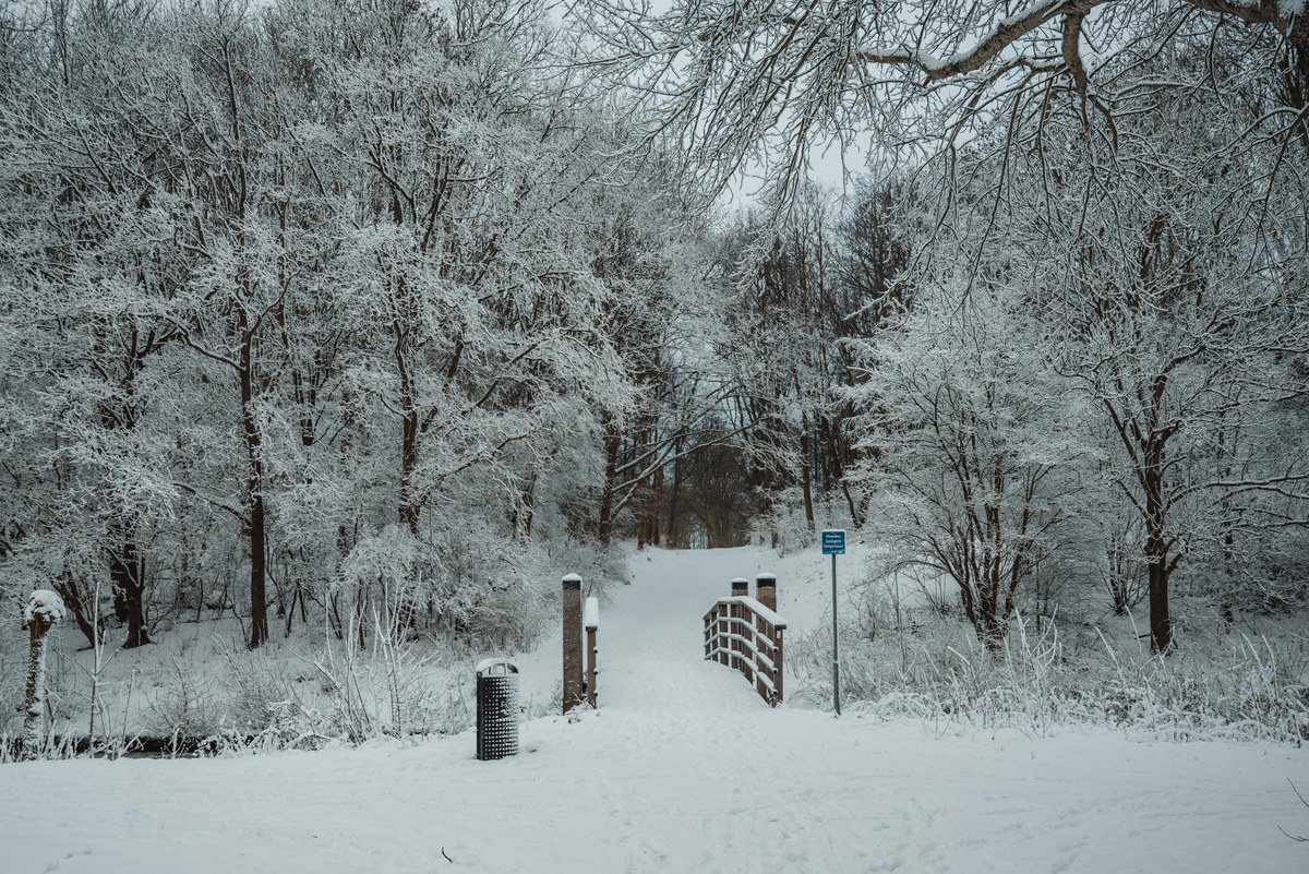 Sneeuw in het Wilhelminapark