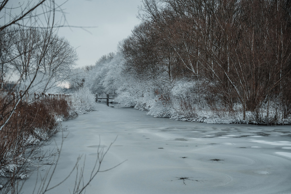 sneeuw in het Wilhelminapark