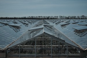 Uitgestrekt glazen kassencomplex met puntdaken die zich onder een lichtblauwe lucht tot aan een verre bomenrij aan de horizon uitstrekken.