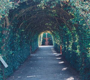 Een bladerrijke tuintunnel van gebogen takken en groene hagen omlijst een geplaveid pad dat leidt naar een roodbruin sculptuur in het licht.