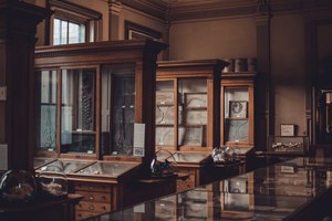 Houten vitrinekasten met glazen deuren tonen tekeningen en objecten in een sfeervolle, warm verlichte museumzaal met glimmende vitrinetafels.