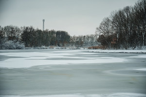 Besneeuwd meer in het Wilhelminapark, met op de achtergrond Rijswijk