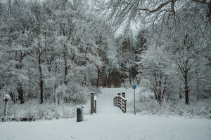 Sneeuw in het Wilhelminapark