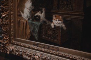 Schilderij van katten in KMSKA