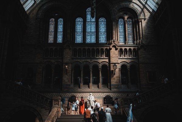 Een wit beeld van Charles Darwin in het zonlicht dat door het dak van het Natural History Museum binnenvalt.