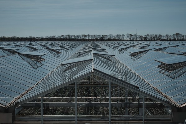 Uitgestrekt glazen kassencomplex met puntdaken die zich onder een lichtblauwe lucht tot aan een verre bomenrij aan de horizon uitstrekken.
