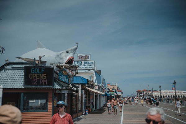 Een haai op een dak aan de Jersey Shore