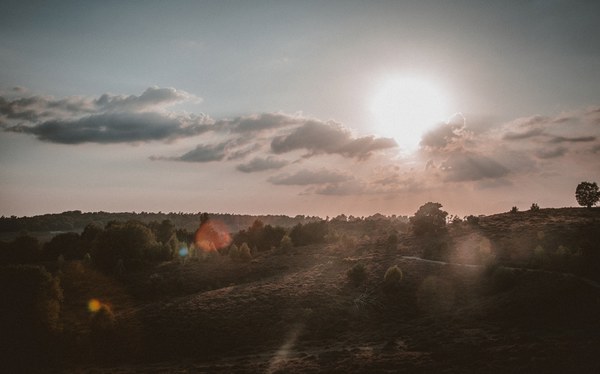 Zonlicht breekt door de wolken boven een glooiend heidelandschap met verspreide bomen en struiken, terwijl lensvlekken over de scène vallen.