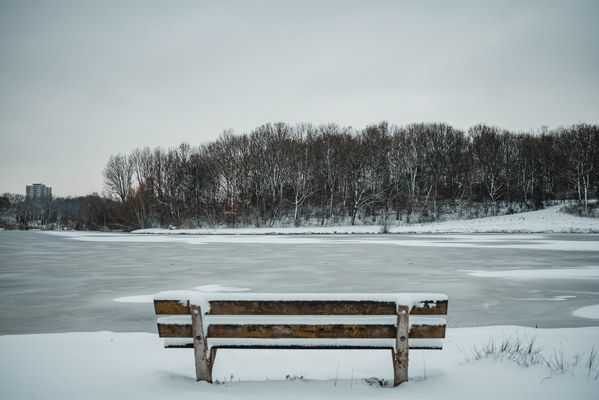 Sneeuw in het Wilhelminapark