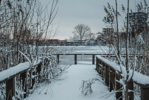 Een besneeuwde steiger in het Wilhelminapark