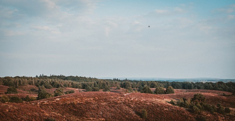 Glooiende heidevelden met roodbruine begroeiing lopen af naar een bosrand, terwijl in de wijde lucht een luchtballon boven de Veluwe zweeft.