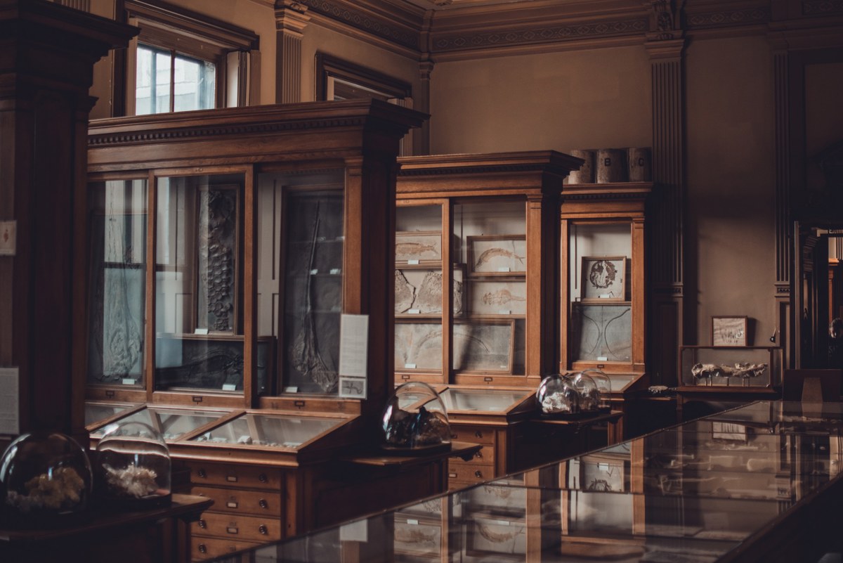 Houten vitrinekasten met glazen deuren tonen tekeningen en objecten in een sfeervolle, warm verlichte museumzaal met glimmende vitrinetafels.