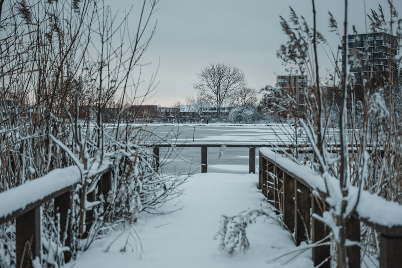 Een besneeuwde steiger in het Wilhelminapark