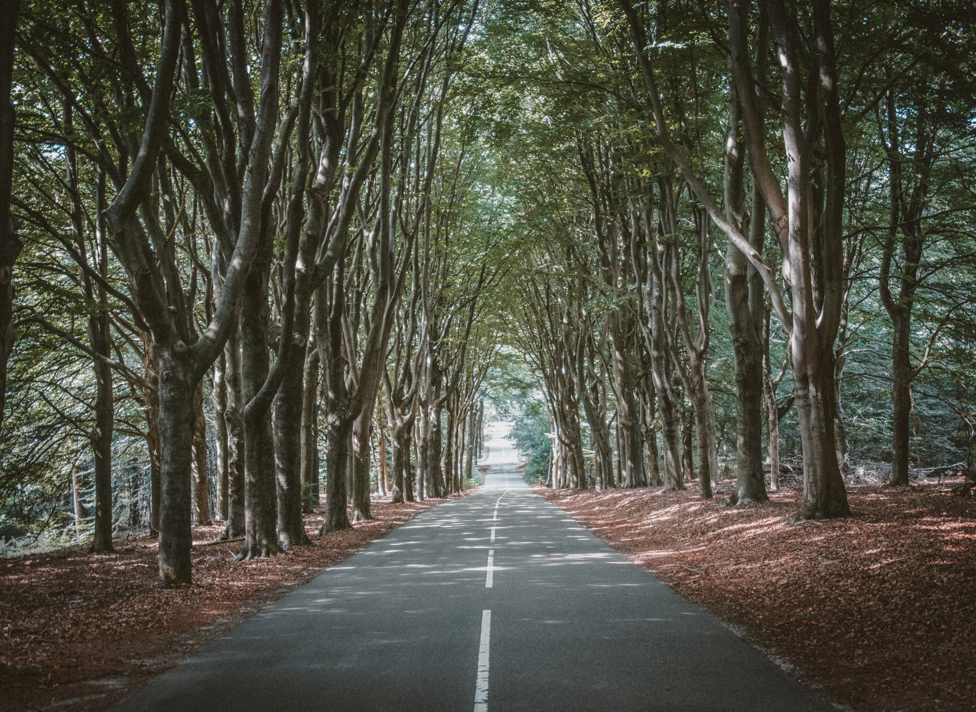 De Veluwe
