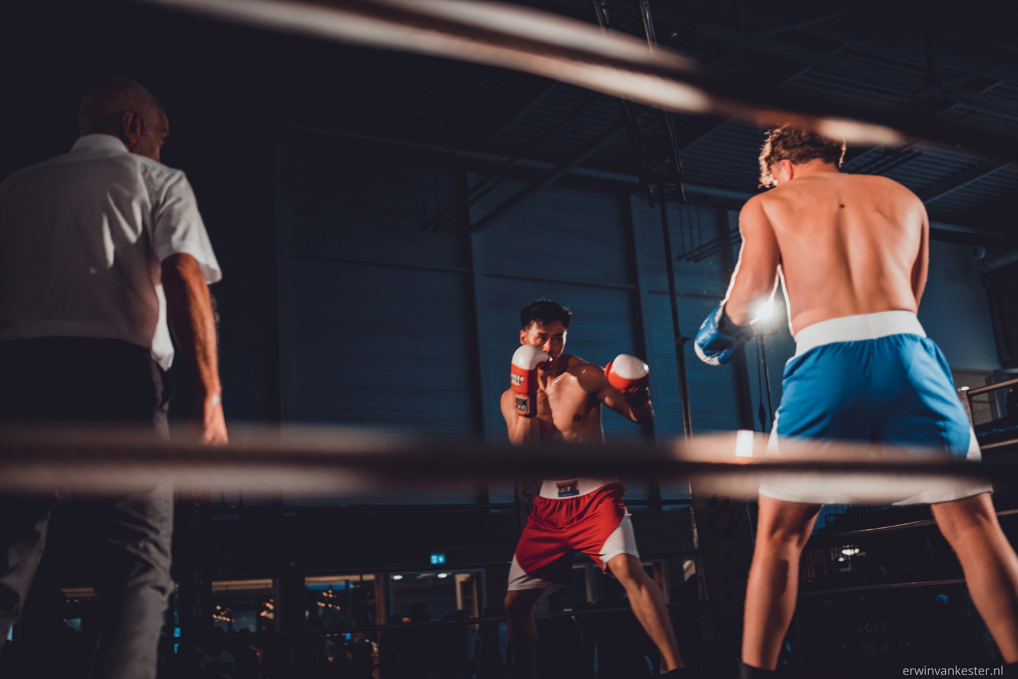 Twee boksers in de ring