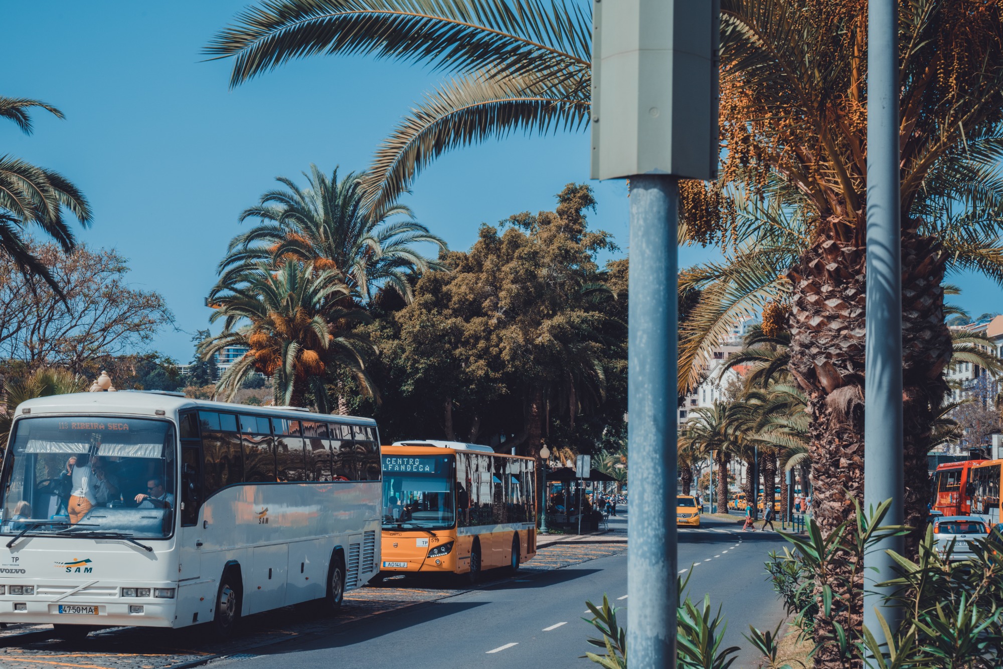 Madeira Transport