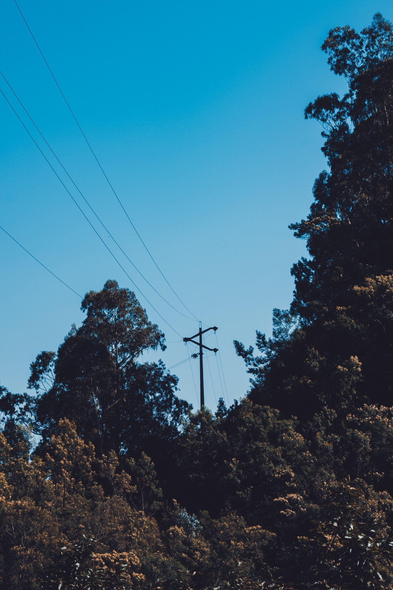 Towers and poles