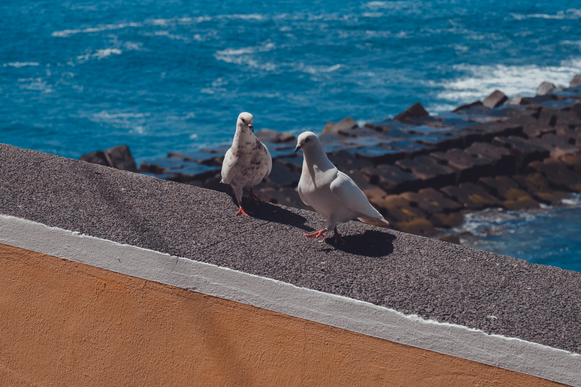 Ponta do Sol