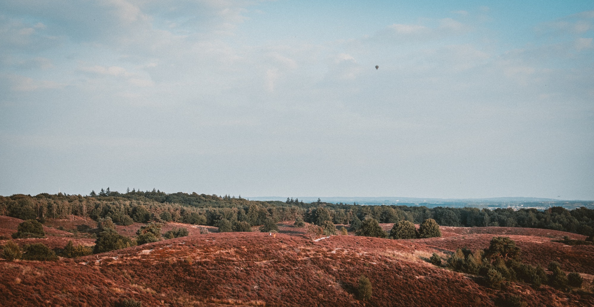 The Veluwe