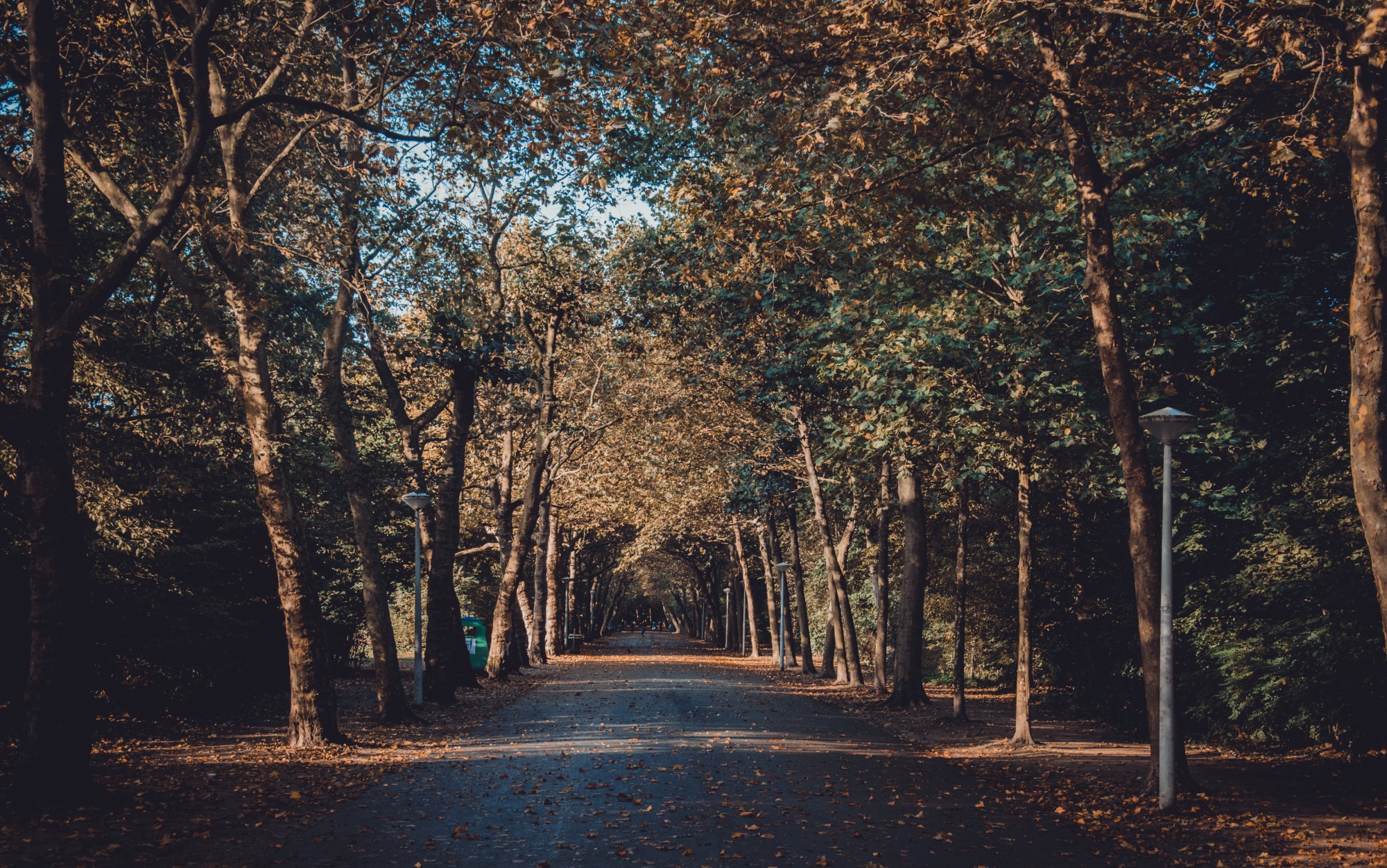 Amsterdam Marathon