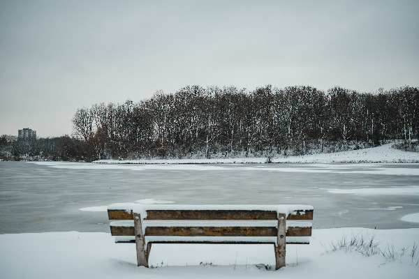 Een bankje in het Wilhelminapark kijkt uit op een besneeuwd meer en heuvel.